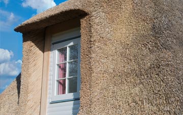 Oldwood thatch roof disadvantages